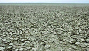 India restored 21.7 million hectares of degraded land: Govt