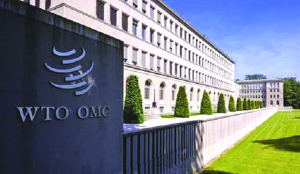 India should adopt dual-track trade strategy at WTO: Expert