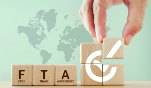 India should now focus on FTA implementation: Experts