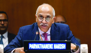 India slams Pakistan at UN over safe havens for terror groups