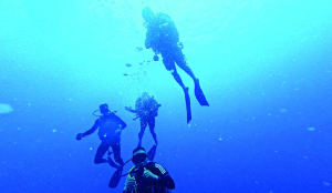 India-Sri Lanka navies execute deep-sea dives under exercise Divex
