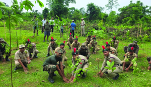 Indian Army, forest department start green drive before World Environment Day in Assam