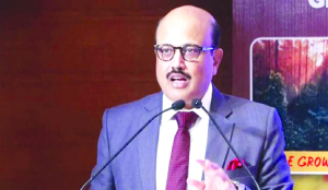 Indian industry need diversification in services: Commerce Secretary