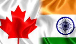 Indians top Canada's deportation list with 3,323, overtake Mexico for first time since 2020