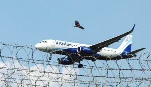 IndiGo assures DGCA of full compliance with pilot duty norms