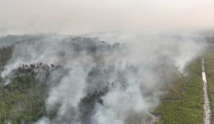 Indonesia steps up Aerial firefighting as blazes scorch forests
