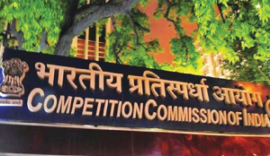 Intensify scrutiny of duopoly sectors: Par Panel to CCI