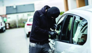 Inter-state vehicle theft syndicate busted