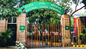ISBT petrol pump row: NGT sets up panel to check site