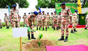 ITBP launches nationwide massive plantation drive