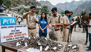 Jammu: 140 spiked bits used on horses for tourist rides in Katra, Shiv Khori seized