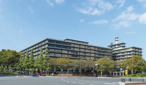 Japanese person detained in Iran: officials