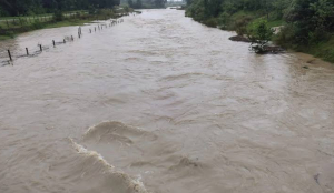 Jharkhand rivers swell after rain, dam releases; East Singhbhum issues alert