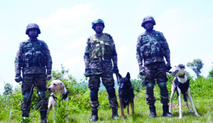 K9 warriors steal the show at Exercise PRAGATI 2026