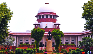 Karur stampede: SC to hear DMK plea on July 7