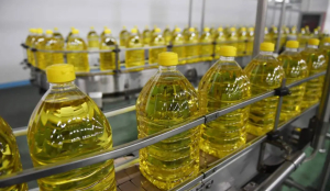 Keralam launches 'Operation Thelima' to curb reuse of cooking oil; 74 eateries shut