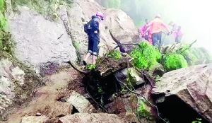 Khandwa: 4 stranded on island rescued by SDERF