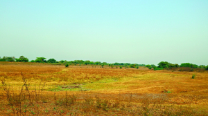 Land titles warrant respect for mutations, not new labels