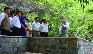 LG directs DDA to initiate revival of Sanjay Lake