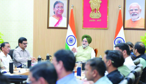 LG orders audit of parks in Capital