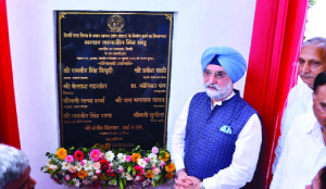 LG Sandhu lays foundation stone for 1,500-dog Dwarka shelter