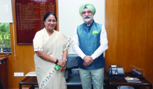 LG Sandhu orders tough fire safety enforcement in Capital
