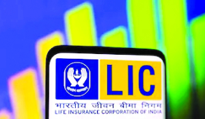 LIC looks to improve return from real estates