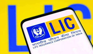 LIC plans foray in fintech space, strategic investment also on table: CEO Doraiswamy