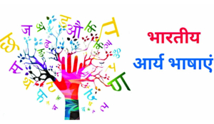 Linguistic wealth: Understanding the Bhartiya Bhasha Pariwar