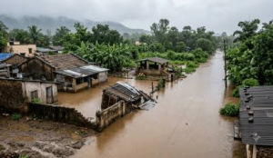 Maharashtra approves Rs 81.22 cr enhanced flood relief for Palghar, Vasai-Virar