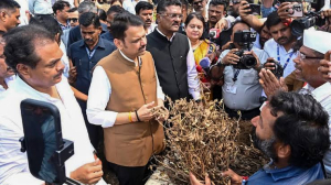 Maharashtra govt to extend all possible help to drought-hit farmers: Minister Atul Save