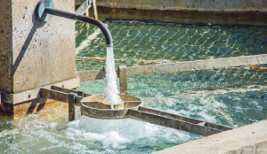 Major areas in north, central Delhi to face water shortage