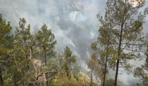 Major forest fire erupts in Reasi’s Salal Forest area, firefighting operations underway