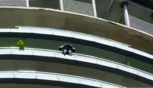 Man dies after jump from 43rd floor of Noida  building