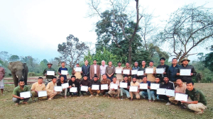Manas hosts global training for captive elephant welfare