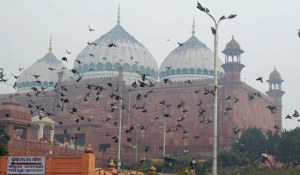 Mathura authorities bars new traditions over Krishna Janmabhoomi 'karseva' call