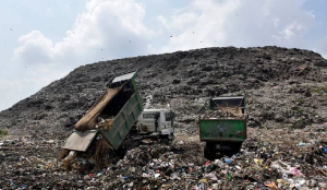 MCD Allocates ₹48 Crore to Boost Garbage Collection and Sanitation Across Delhi Zones