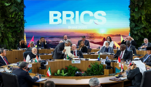 MCD to step up cleanliness, stray dog control ahead of BRICS summit