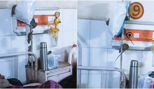 Medical education team inspects Gonda college