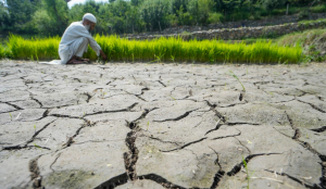 Meghalaya faces 60 per cent monsoon rain deficit as El Nino persists