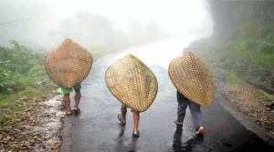 Meghalaya's wettest towns face growing drought risk as rain patterns shift