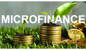 MFI portfolio dips 9% in April on pvt banks’ cautious stance: Report
