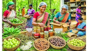 Minor forest produce: Reconciling forest rights with conservation