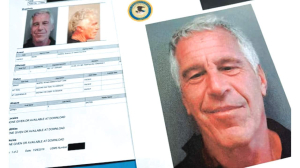 Mira Nair name linked to Epstein documents