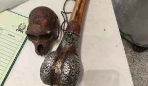 Monkey skull found in passenger's bag at Delhi airport
