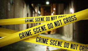 Mother, Teenage Son Stabbed to Death in Delhi’s Govindpuri; Robbery Suspected
