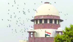 MP fails to return forest land despite SC order