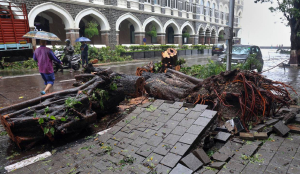 Mumbai gets brief rain break; schools and colleges shut, 'orange' alert in place
