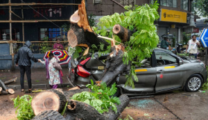 Mumbai Monsoon wreaks havoc as vehicles crushed, walls collapse and trees uprooted across city