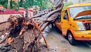 Mumbai orders probe after tree collapse kills 11-year-old in school van